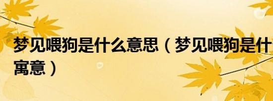 梦见喂狗是什么意思（梦见喂狗是什么意思和寓意）