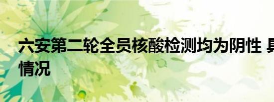 六安第二轮全员核酸检测均为阴性 具体是啥情况