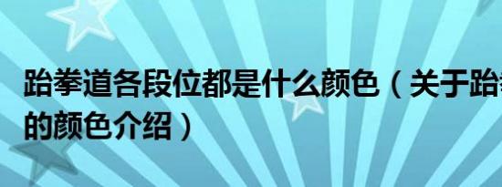 跆拳道各段位都是什么颜色（关于跆拳道段位的颜色介绍）