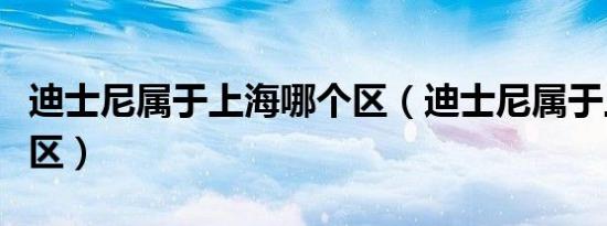 迪士尼属于上海哪个区（迪士尼属于上海什么区）