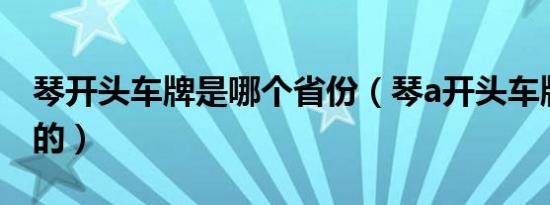 琴开头车牌是哪个省份（琴a开头车牌是哪里的）