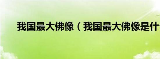 我国最大佛像（我国最大佛像是什么）