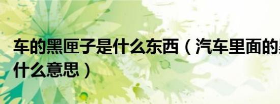 车的黑匣子是什么东西（汽车里面的黑匣子是什么意思）