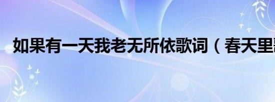 如果有一天我老无所依歌词（春天里歌词）