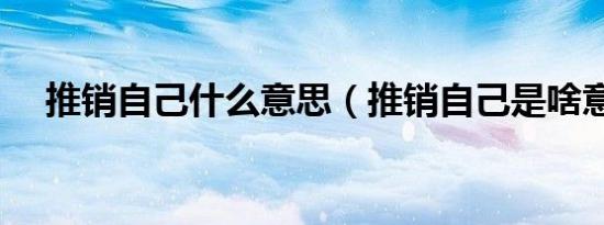 推销自己什么意思（推销自己是啥意思）