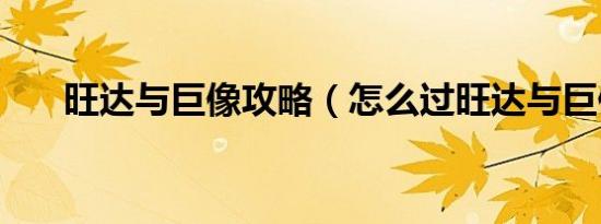 旺达与巨像攻略（怎么过旺达与巨像）