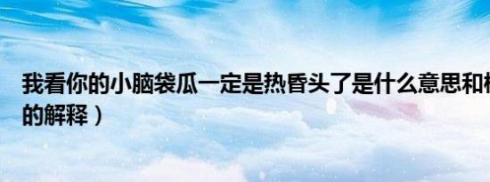 我看你的小脑袋瓜一定是热昏头了是什么意思和梗（这句话的解释）