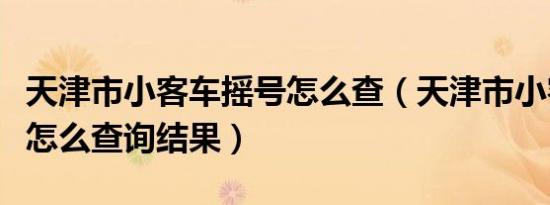 天津市小客车摇号怎么查（天津市小客车摇号怎么查询结果）