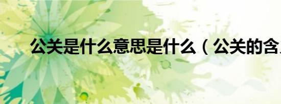 公关是什么意思是什么（公关的含义）