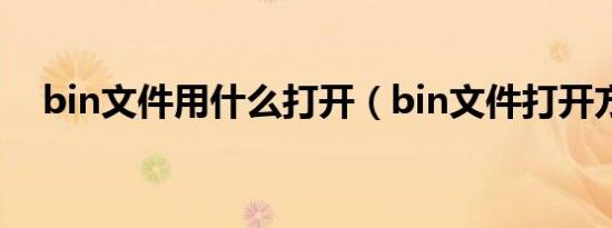 bin文件用什么打开（bin文件打开方法）