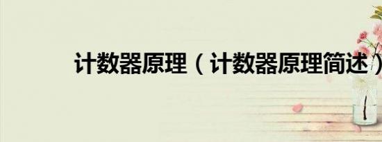 计数器原理（计数器原理简述）