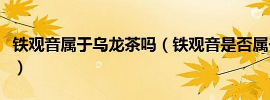 铁观音属于乌龙茶吗（铁观音是否属于乌龙茶）