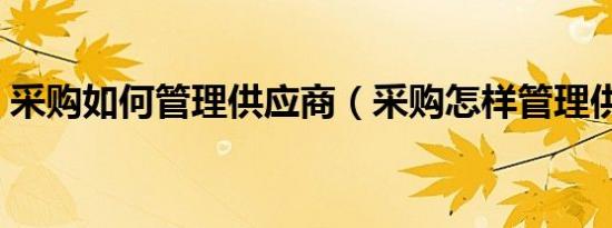 采购如何管理供应商（采购怎样管理供应商）