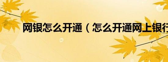 网银怎么开通（怎么开通网上银行）