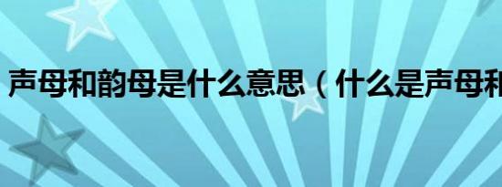 声母和韵母是什么意思（什么是声母和韵母）