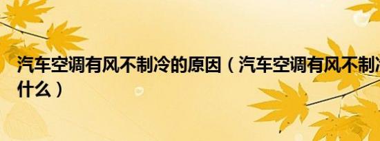 汽车空调有风不制冷的原因（汽车空调有风不制冷的原因是什么）