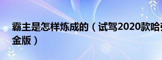霸主是怎样炼成的（试驾2020款哈弗H6 铂金版）