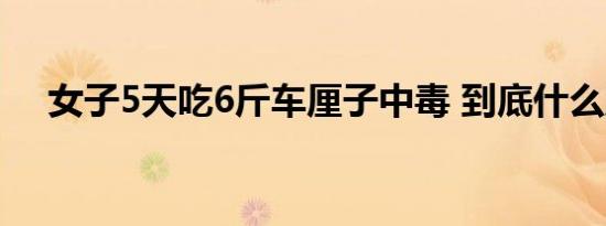 女子5天吃6斤车厘子中毒 到底什么原因