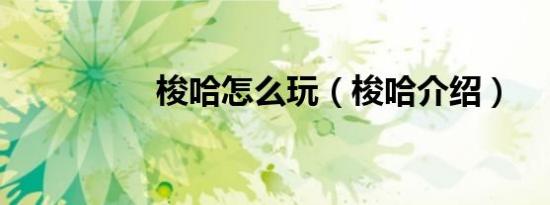 梭哈怎么玩（梭哈介绍）