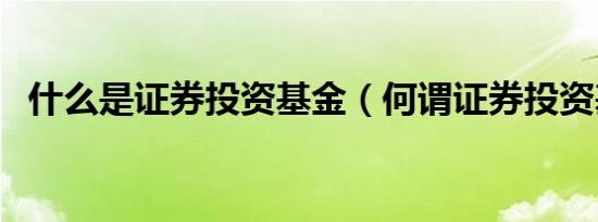什么是证券投资基金（何谓证券投资基金）