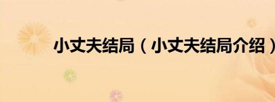 小丈夫结局（小丈夫结局介绍）