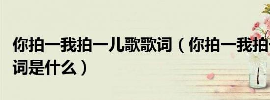 你拍一我拍一儿歌歌词（你拍一我拍一儿歌歌词是什么）