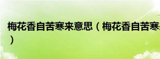 梅花香自苦寒来意思（梅花香自苦寒来的含义）