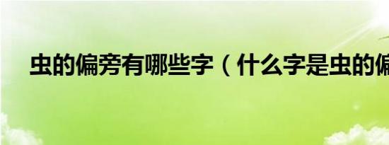 虫的偏旁有哪些字（什么字是虫的偏旁）