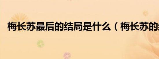 梅长苏最后的结局是什么（梅长苏的结局）