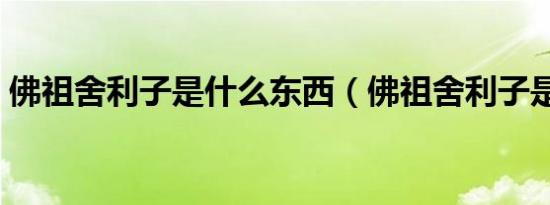 佛祖舍利子是什么东西（佛祖舍利子是何物）