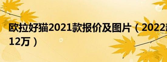 欧拉好猫2021款报价及图片（2022新款售价12万）