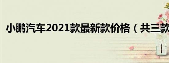 小鹏汽车2021款最新款价格（共三款车型）