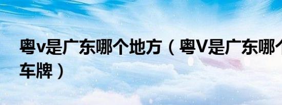 粤v是广东哪个地方（粤V是广东哪个地方的车牌）