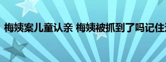 梅姨案儿童认亲 梅姨被抓到了吗记住这张脸