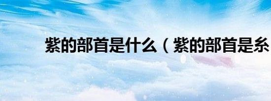 紫的部首是什么（紫的部首是糸）