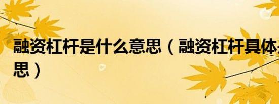 融资杠杆是什么意思（融资杠杆具体是什么意思）