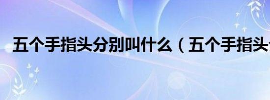 五个手指头分别叫什么（五个手指头介绍）