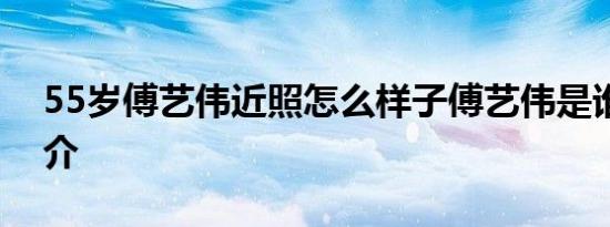 55岁傅艺伟近照怎么样子傅艺伟是谁个人简介