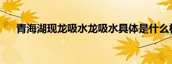 青海湖现龙吸水龙吸水具体是什么样的