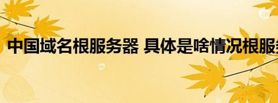 中国域名根服务器 具体是啥情况根服务器是