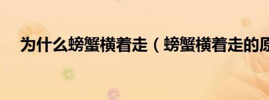 为什么螃蟹横着走（螃蟹横着走的原因）