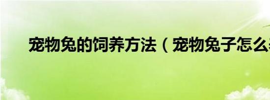宠物兔的饲养方法（宠物兔子怎么养）