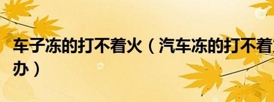 车子冻的打不着火（汽车冻的打不着火了怎么办）