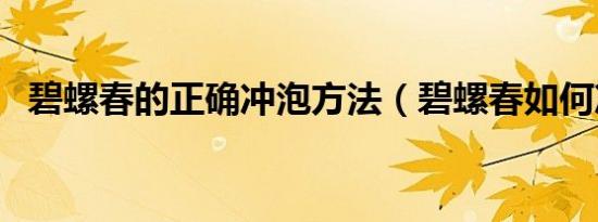 碧螺春的正确冲泡方法（碧螺春如何冲泡）