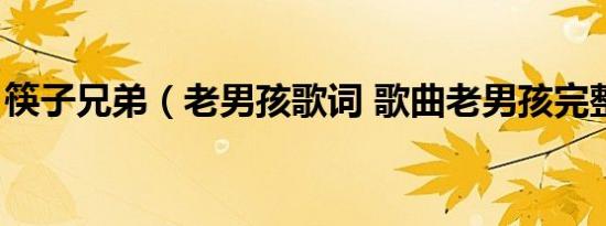 筷子兄弟（老男孩歌词 歌曲老男孩完整歌词）