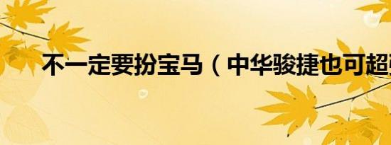 不一定要扮宝马（中华骏捷也可超强）