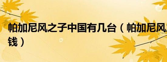 帕加尼风之子中国有几台（帕加尼风之子多少钱）