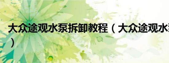 大众途观水泵拆卸教程（大众途观水泵是什么）