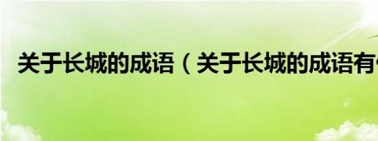 关于长城的成语（关于长城的成语有什么）