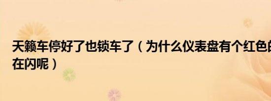 天籁车停好了也锁车了（为什么仪表盘有个红色的小车图标在闪呢）